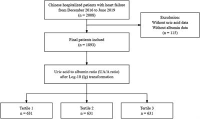 Elevated uric acid to serum albumin ratio: a predictor of short-term outcomes in Chinese heart failure patients